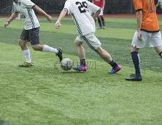 独家揭秘,纽卡斯尔传,奇高管园艺,九游会,J9,中国官方网站,JIUYOUHUI,游戏,在线游戏,手机游戏,休闲游戏,游戏下载