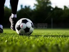 成都新鹏城,握手言和,安永佳闪电,九游会,J9,中国官方网站,JIUYOUHUI,游戏,在线游戏,手机游戏,休闲游戏,游戏下载