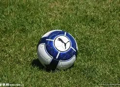 九游会,资讯,j9九游会,九游会,J9,中国官方网站,JIUYOUHUI,游戏,在线游戏,手机游戏,休闲游戏,游戏下载