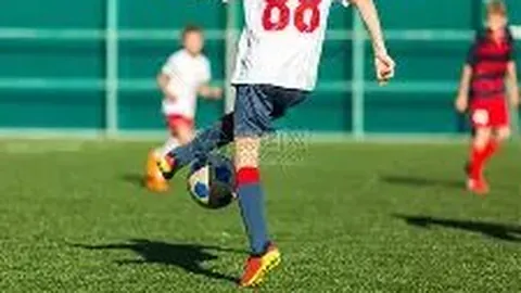 j9九游会 资讯 100800 5iz