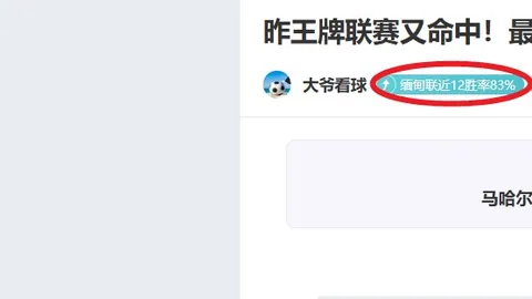 “奥尔莫因伤停赛5场，欧冠四分之一决赛次回合有望回归赛场”