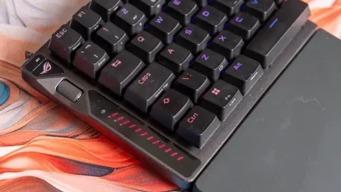 丁红杰勇夺男子61公斤级举重金牌